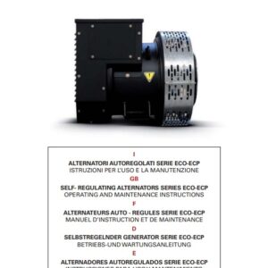 himoinsa generator manual